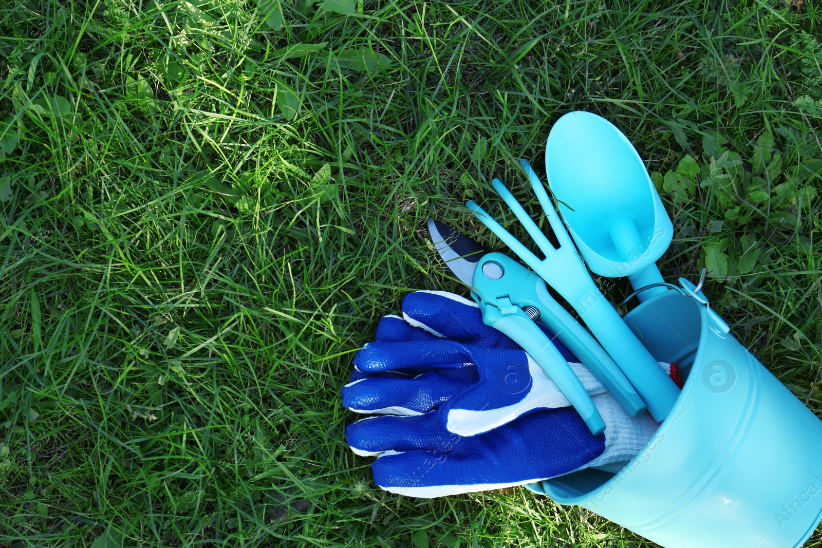 Photo of Bucket with gloves and gardening tools on grass outdoors, flat lay. Space for text