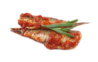 Tasty canned sprats with tomato sauce and rosemary isolated on white