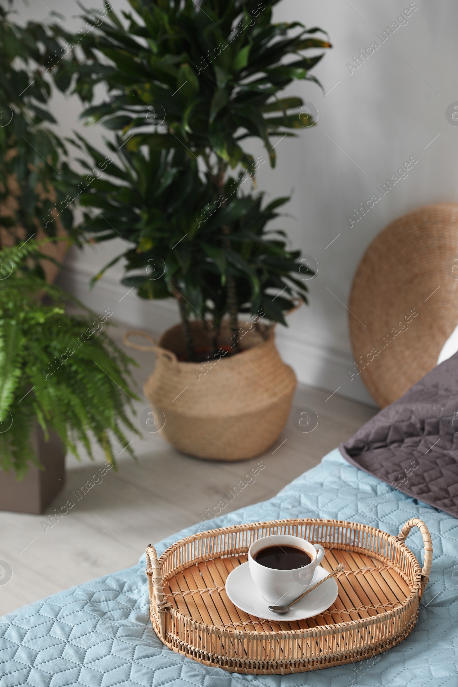 Photo of Cup of coffee on bed in room decorated with green plants. Home design ideas