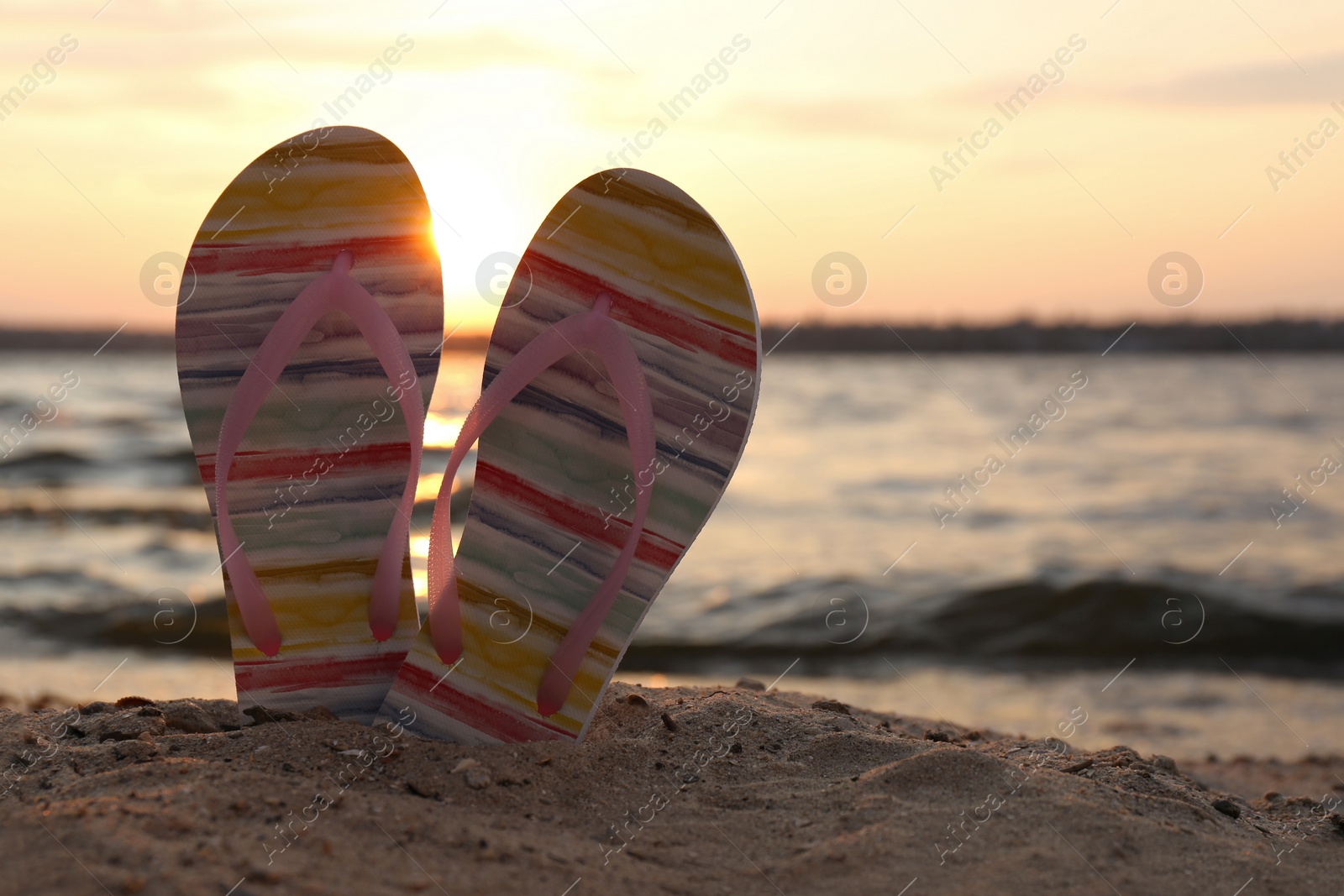 Photo of Stylish flip flops on sand near sea, space for text. Beach accessories