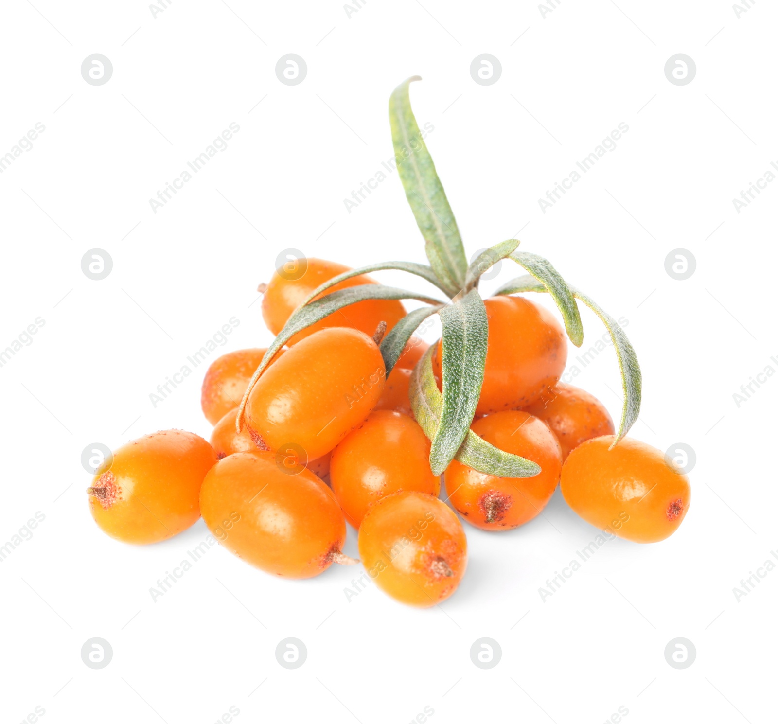 Photo of Fresh ripe sea buckthorn berries with leaves on white background