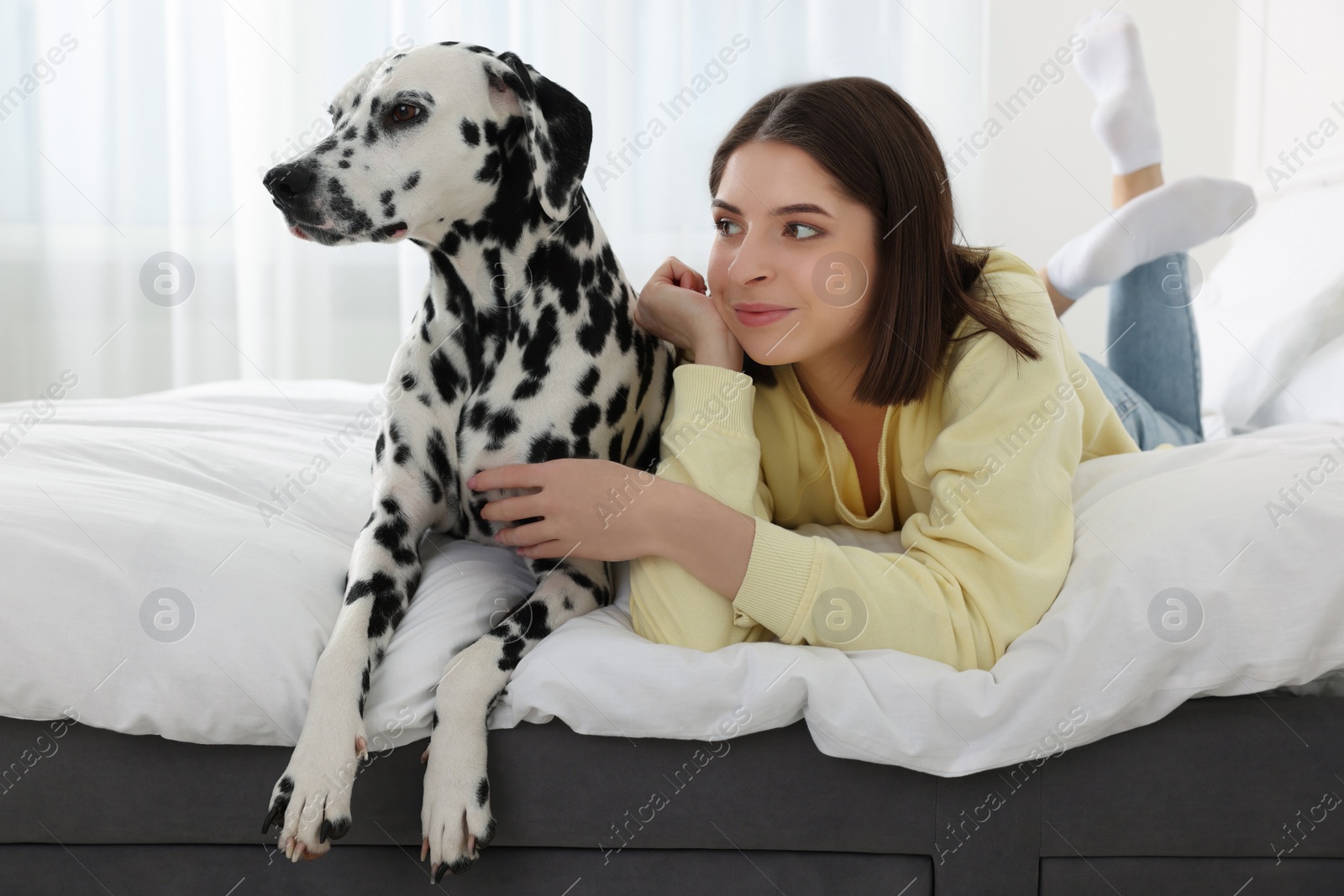 Photo of Beautiful woman with her adorable Dalmatian dog on bed at home. Lovely pet