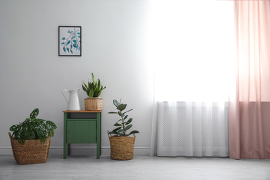 Photo of Different tropical plants in wicker pots near white wall at home