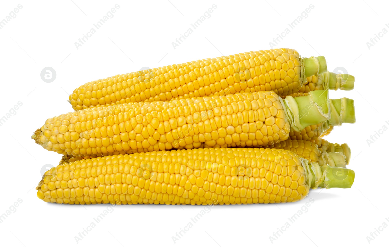 Photo of Tasty fresh corn cobs isolated on white