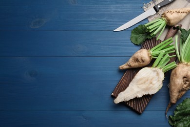 Photo of Whole and cut sugar beets on blue wooden table, flat lay. Space for text