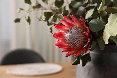 Photo of Beautiful Protea flower and eucalyptus branches in vase on blurred background, closeup