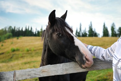 Woman stroking beautiful horse near wooden fence outdoors, closeup. Lovely domesticated pet