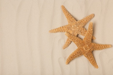 Photo of Starfishes on beach sand, top view with space for text