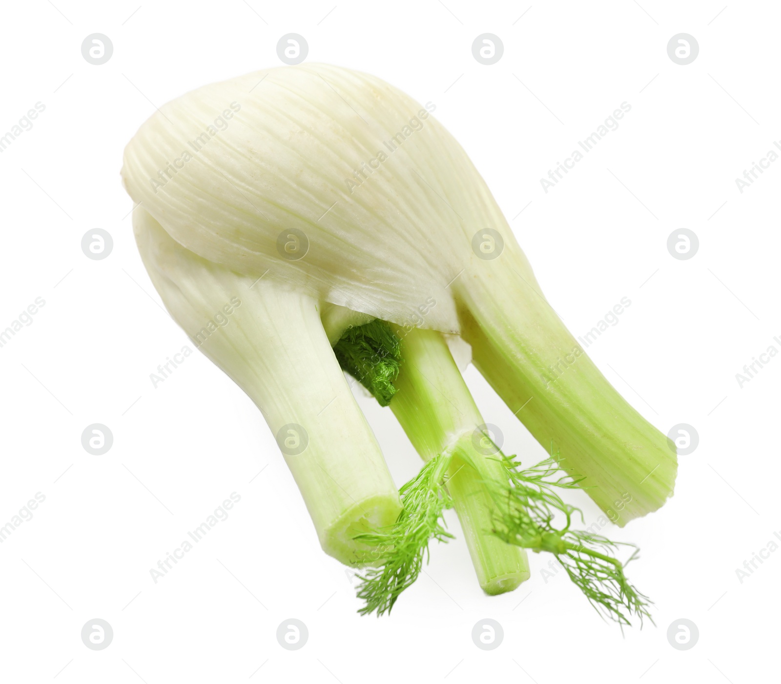 Photo of Fresh raw fennel bulb isolated on white