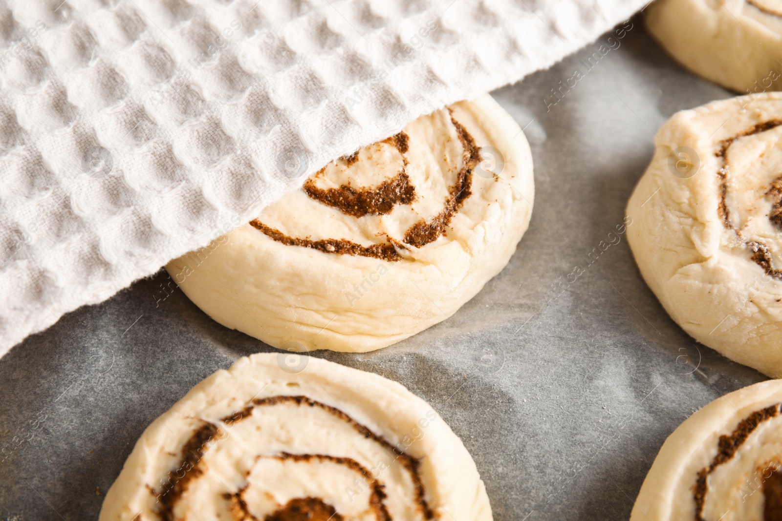 Photo of Raw cinnamon rolls and towel on parchment, closeup