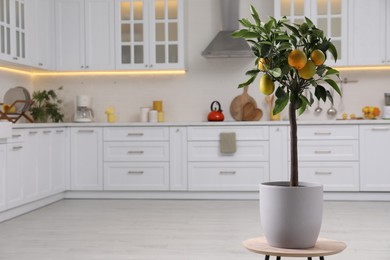 Potted lemon tree with ripe fruits on small table in kitchen. Space for text
