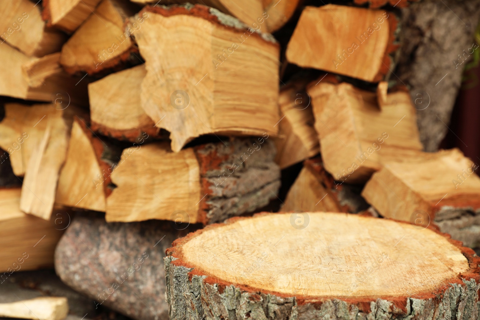 Photo of Tree stump near stacked firewood outdoors, closeup. Space for text