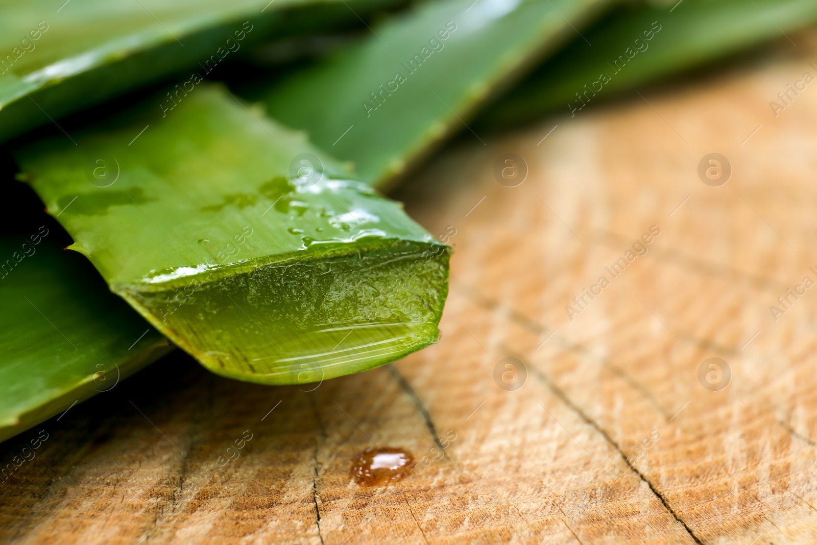 Photo of Fresh cut aloe vera leaves with dripping juice on wooden stump, closeup. Space for text