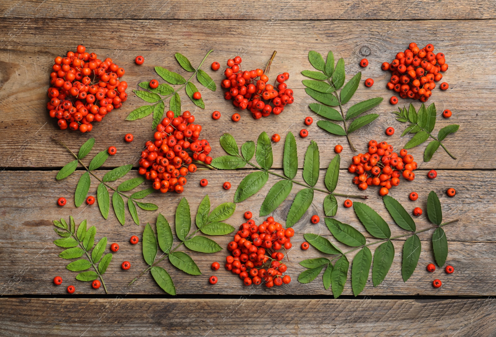 Photo of Fresh ripe rowan berries and green leaves on wooden table, flat lay