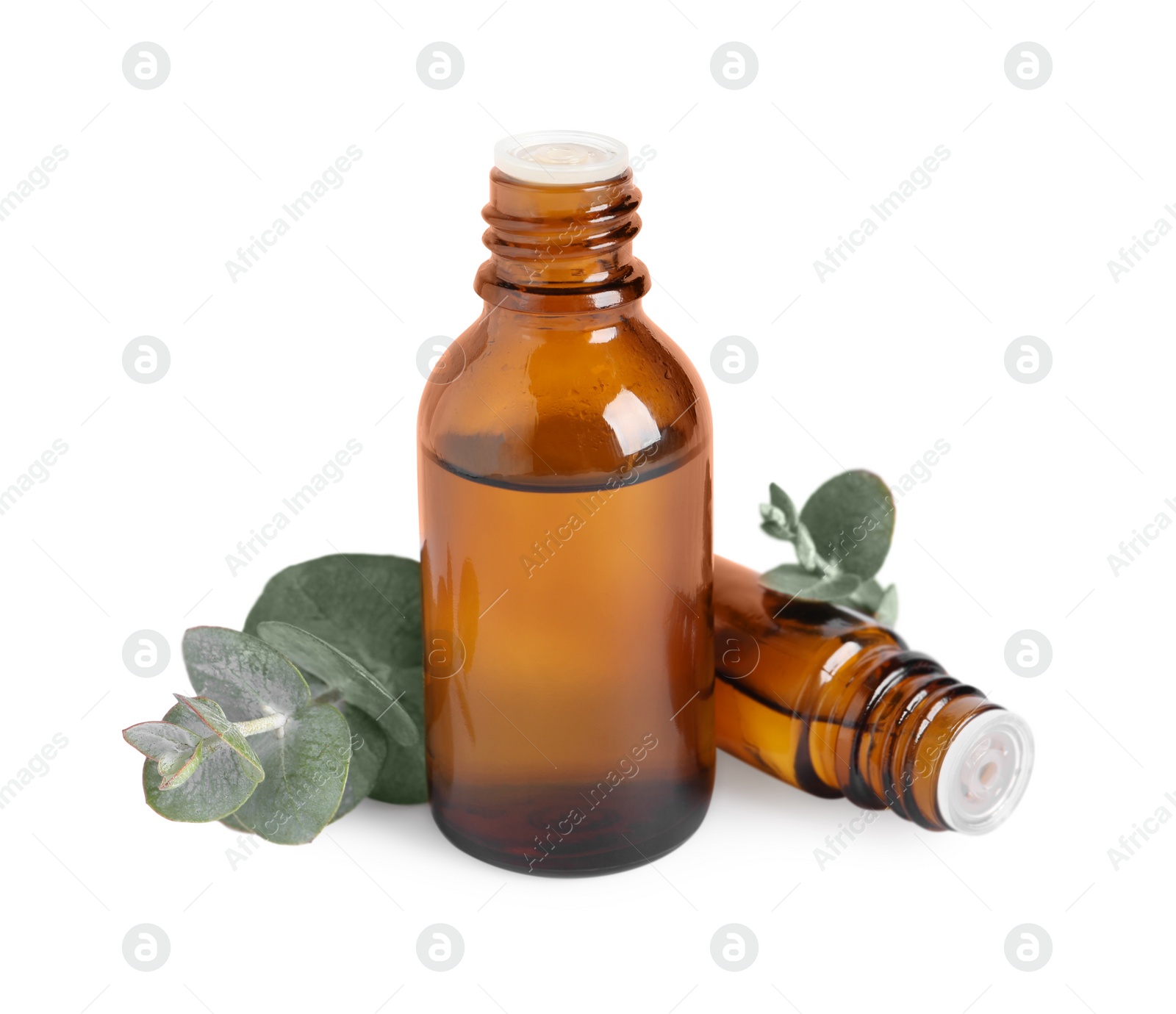 Photo of Bottles of eucalyptus essential oil and plant branches on white background