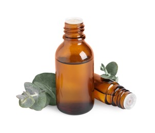 Photo of Bottles of eucalyptus essential oil and plant branches on white background