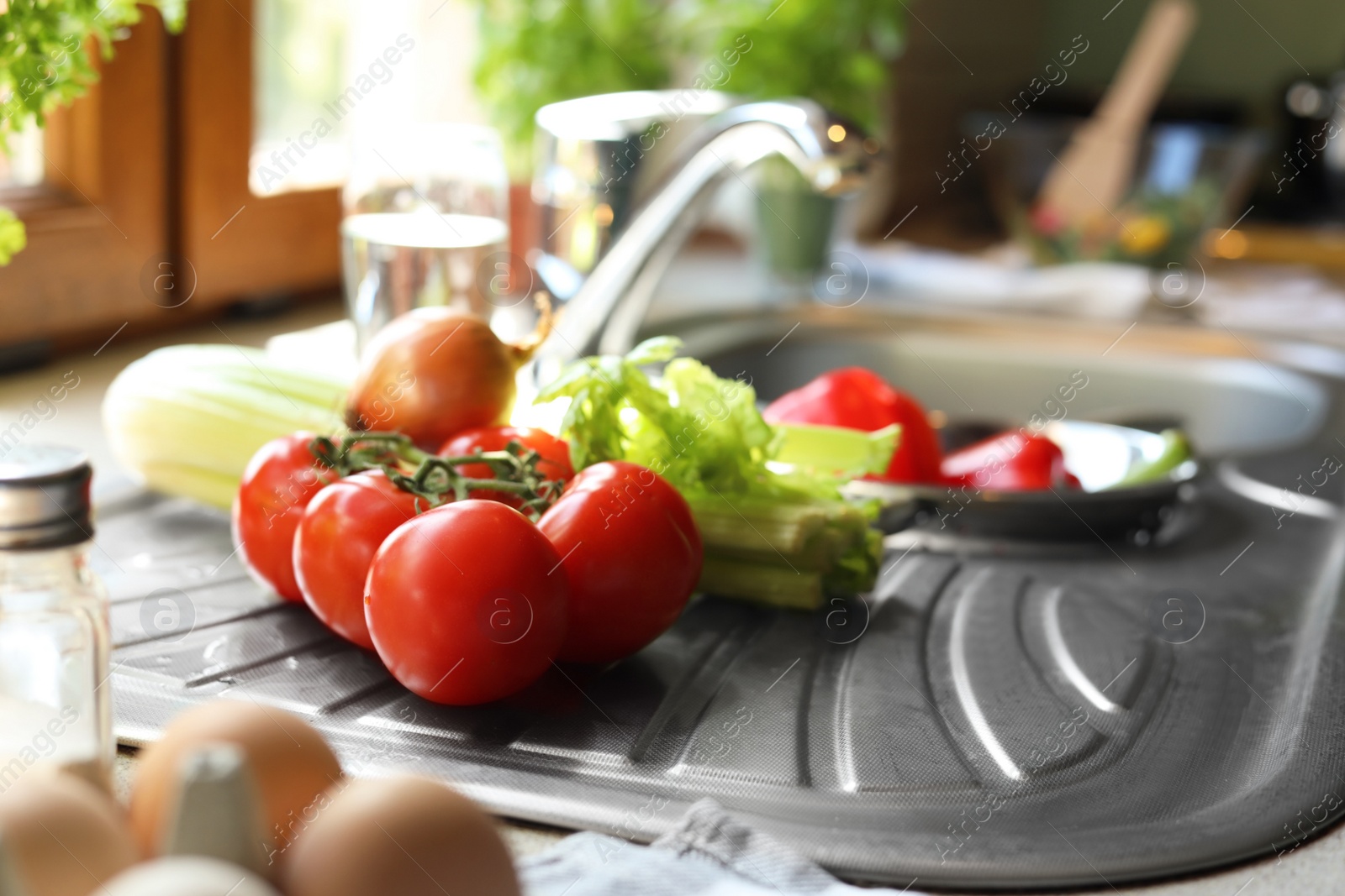 Photo of Fresh tomatoes, celery and onion near sink in kitchen