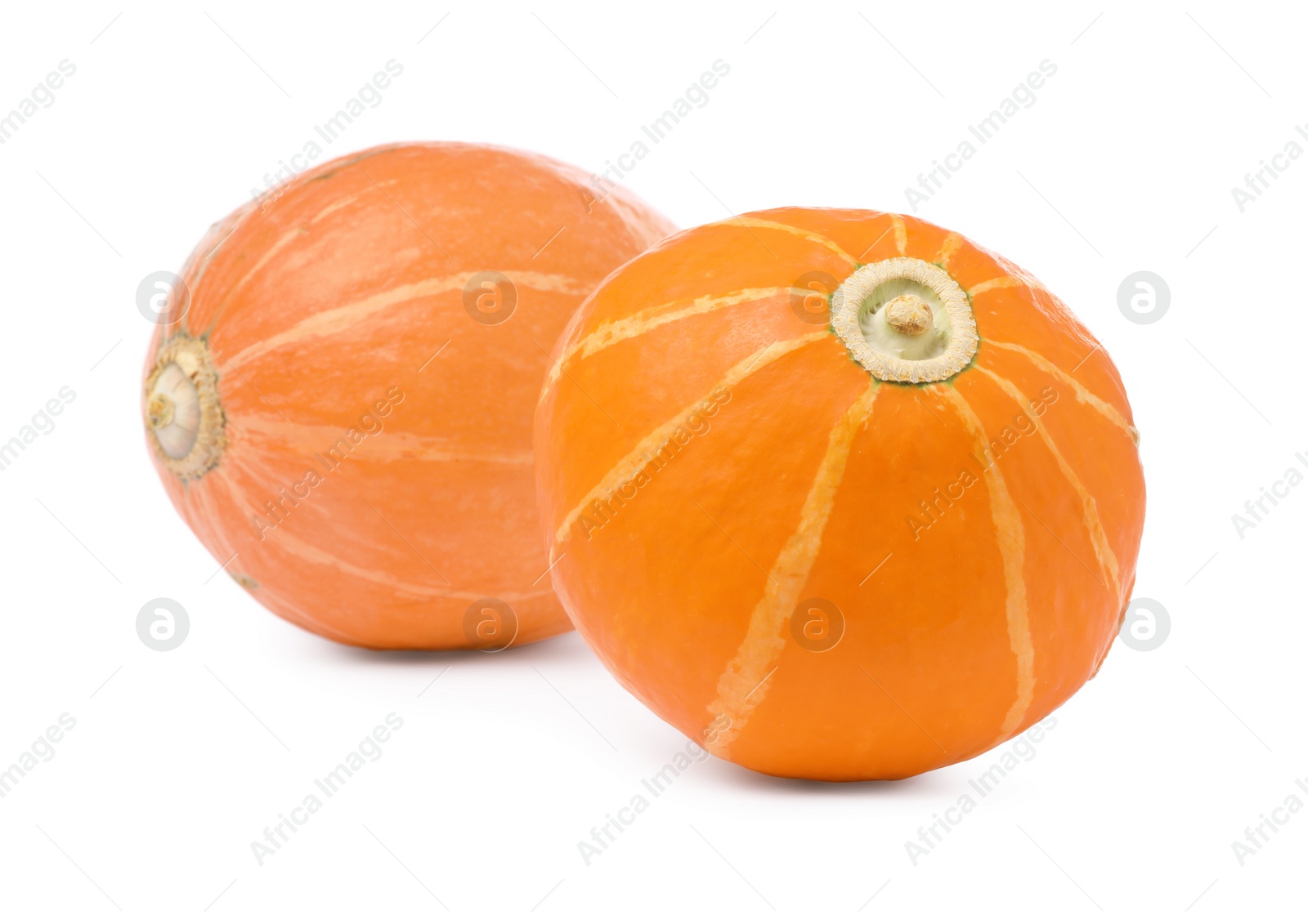 Photo of Two fresh orange pumpkins isolated on white