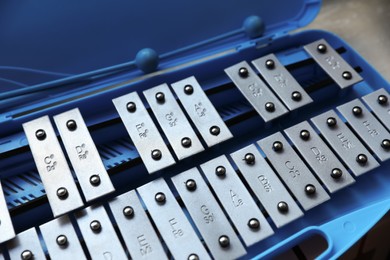 Photo of Closeup view of xylophone in light blue case