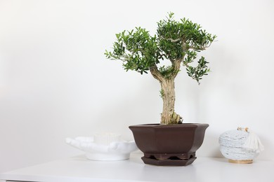 Photo of Beautiful bonsai tree in pot and decor elements on table against light wall, space for text