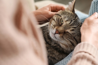 Photo of Cute tabby cat with owner on sofa, closeup. Friendly pet