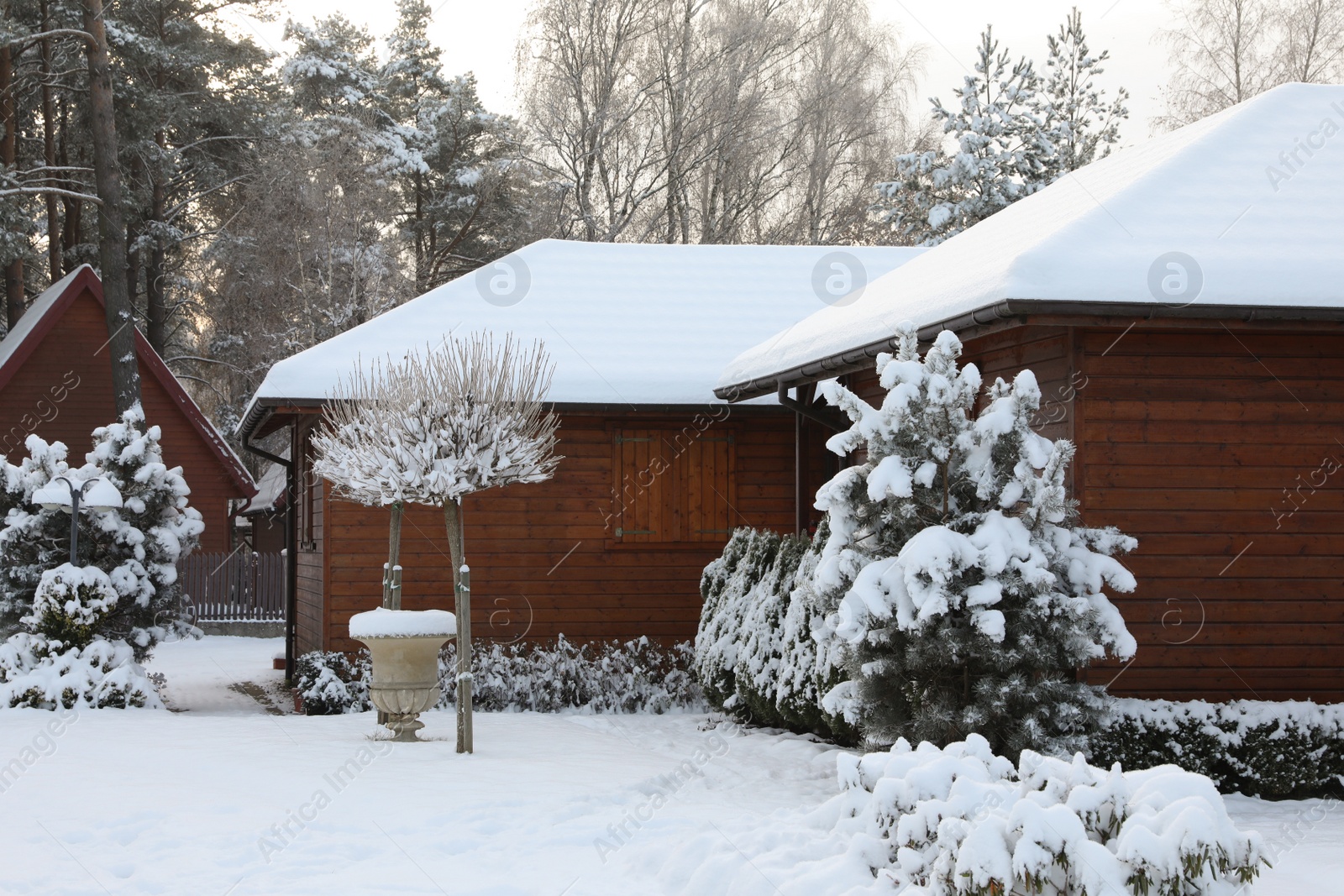 Photo of Winter landscape with wooden houses and trees in morning