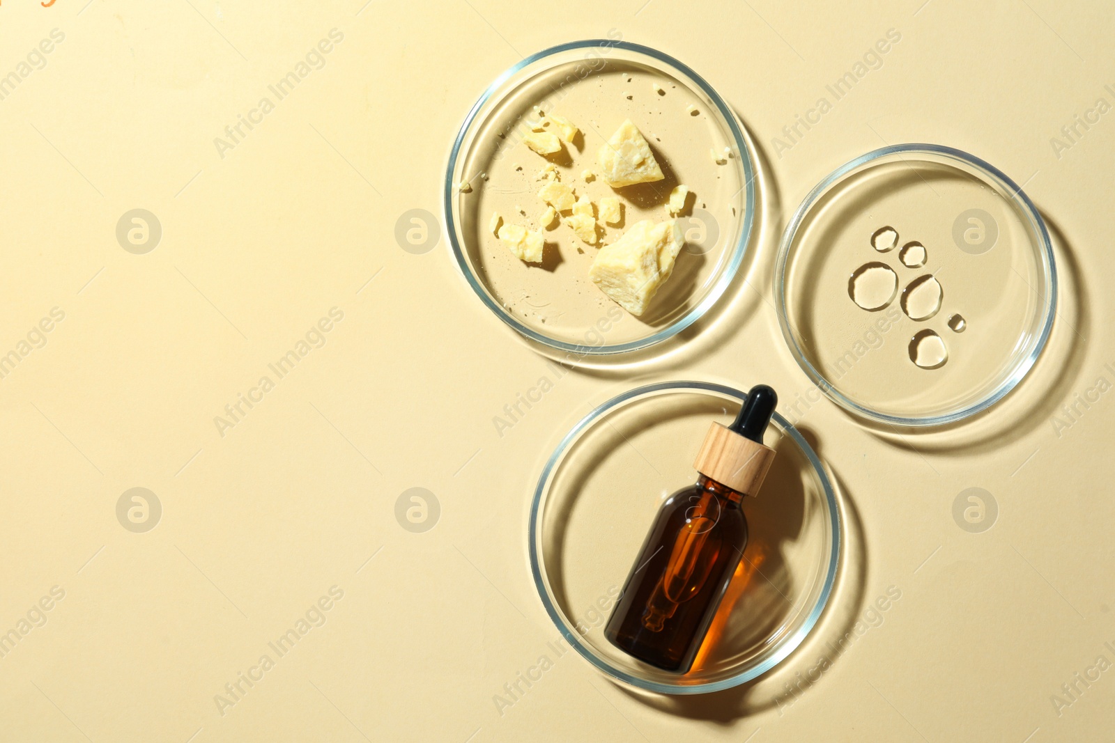 Photo of Many Petri dishes and cosmetic products on beige background, flat lay. Space for text