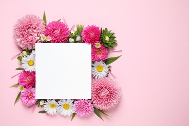 Photo of Flat lay composition with beautiful aster flowers and blank card on pink background. Space for text