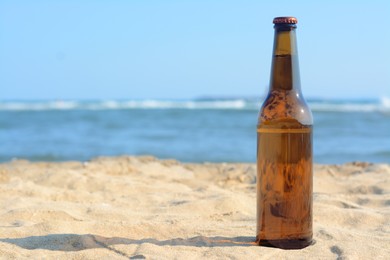 Bottle of beer on sandy beach near sea. Space for text