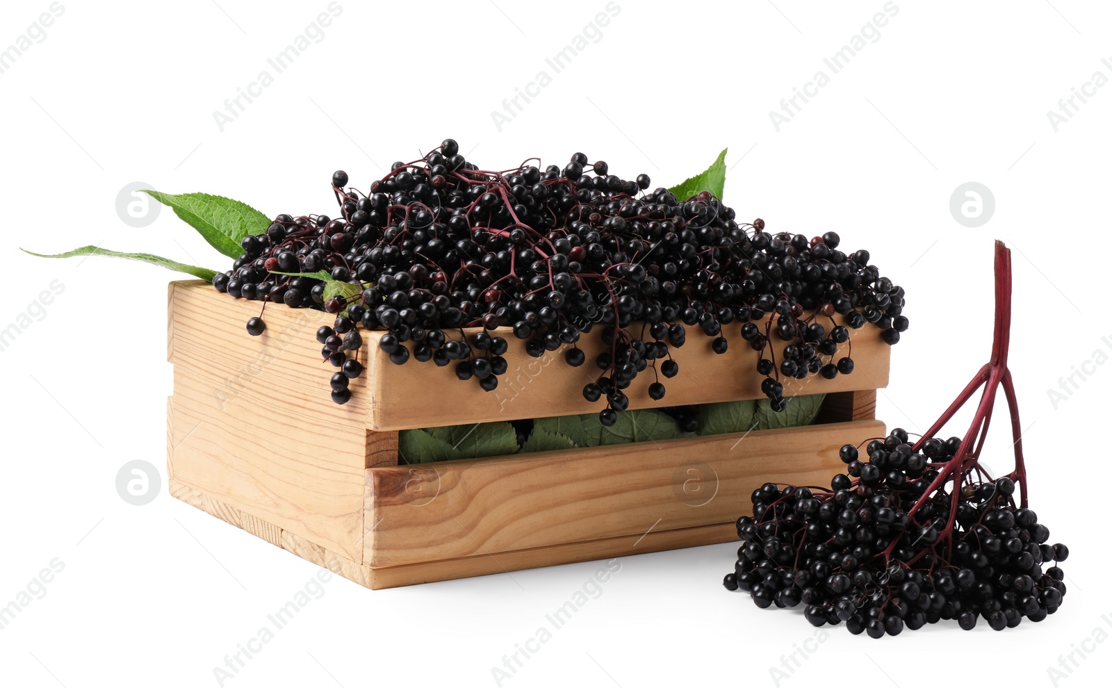 Photo of Crate with ripe elderberries and green leaves on white background