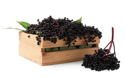 Photo of Crate with ripe elderberries and green leaves on white background