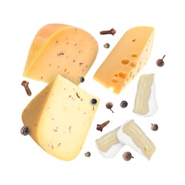 Image of Different kinds of cheese and spices falling on white background