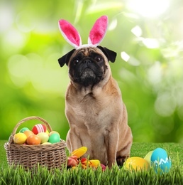 Image of Colorful Easter eggs and cute dog with bunny ears headband outdoors