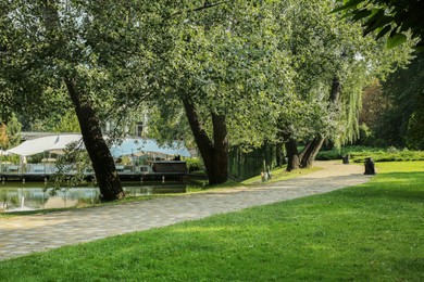 Quiet park with trees and paved pathway on sunny day