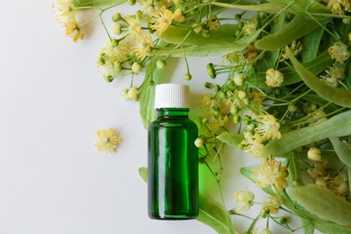 Photo of Bottle of essential oil and linden blossoms on white background, flat lay. Space for text