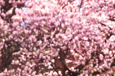 Blurred view of beautiful tree with pink blossom outdoors. Bokeh effect