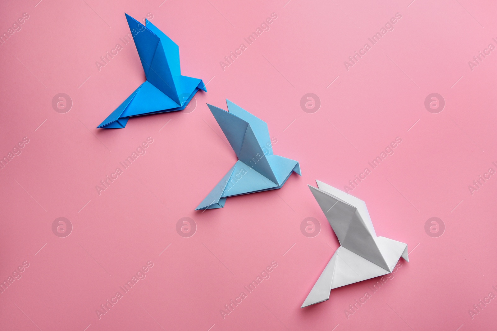 Photo of Beautiful colorful origami birds on pink background, flat lay