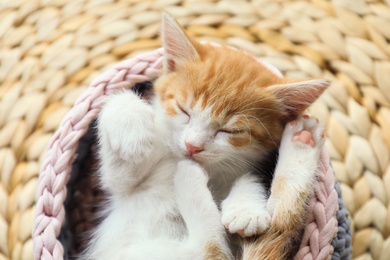Photo of Cute little red kitten sleeping in knitted basket on wicker mat, above view