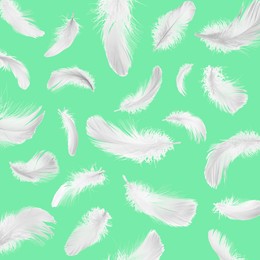 Image of Fluffy bird feathers falling on green background