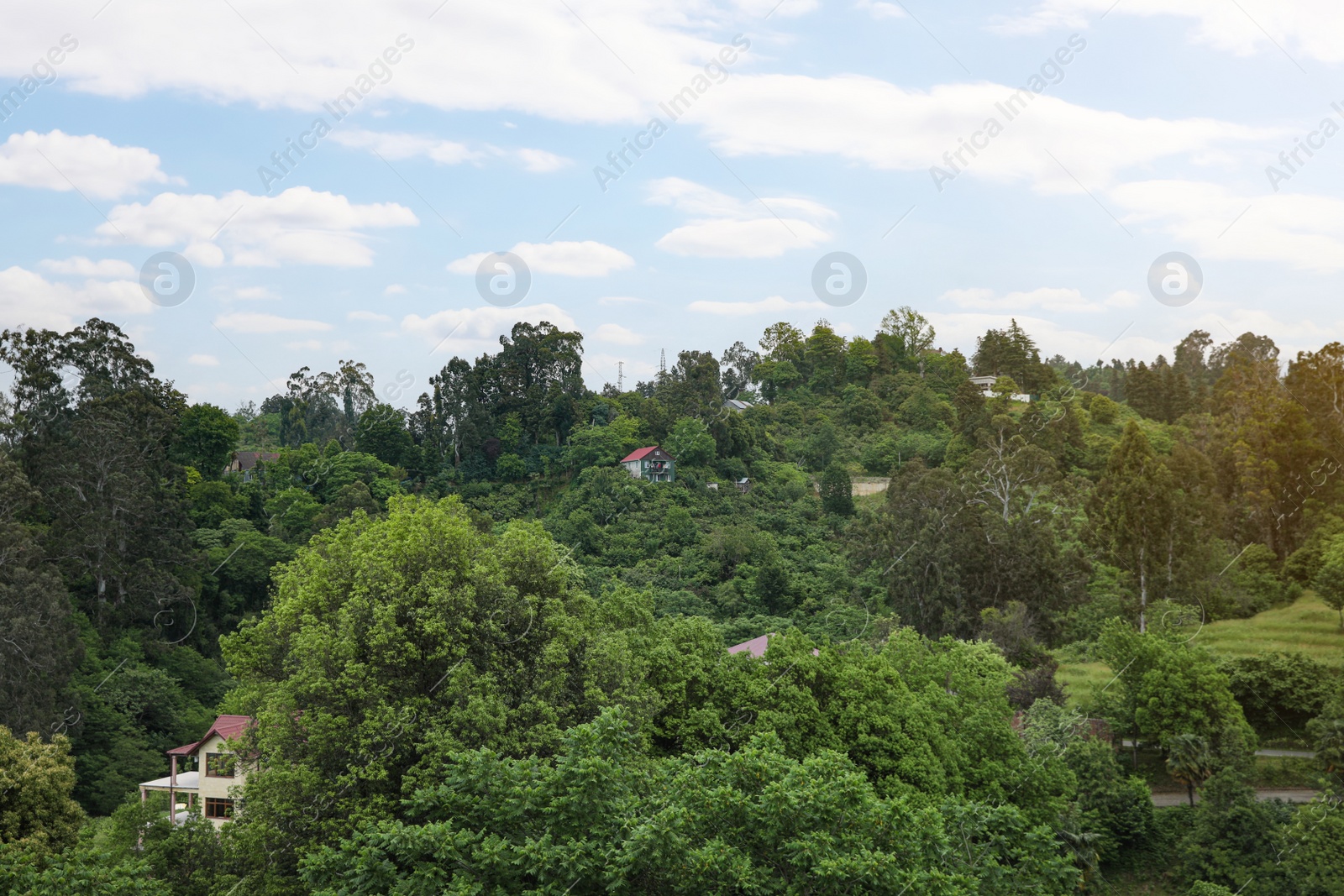 Photo of Picturesque view of tranquil park with green plants