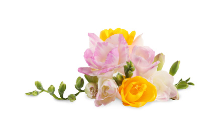 Photo of Bouquet of beautiful freesia flowers on white background