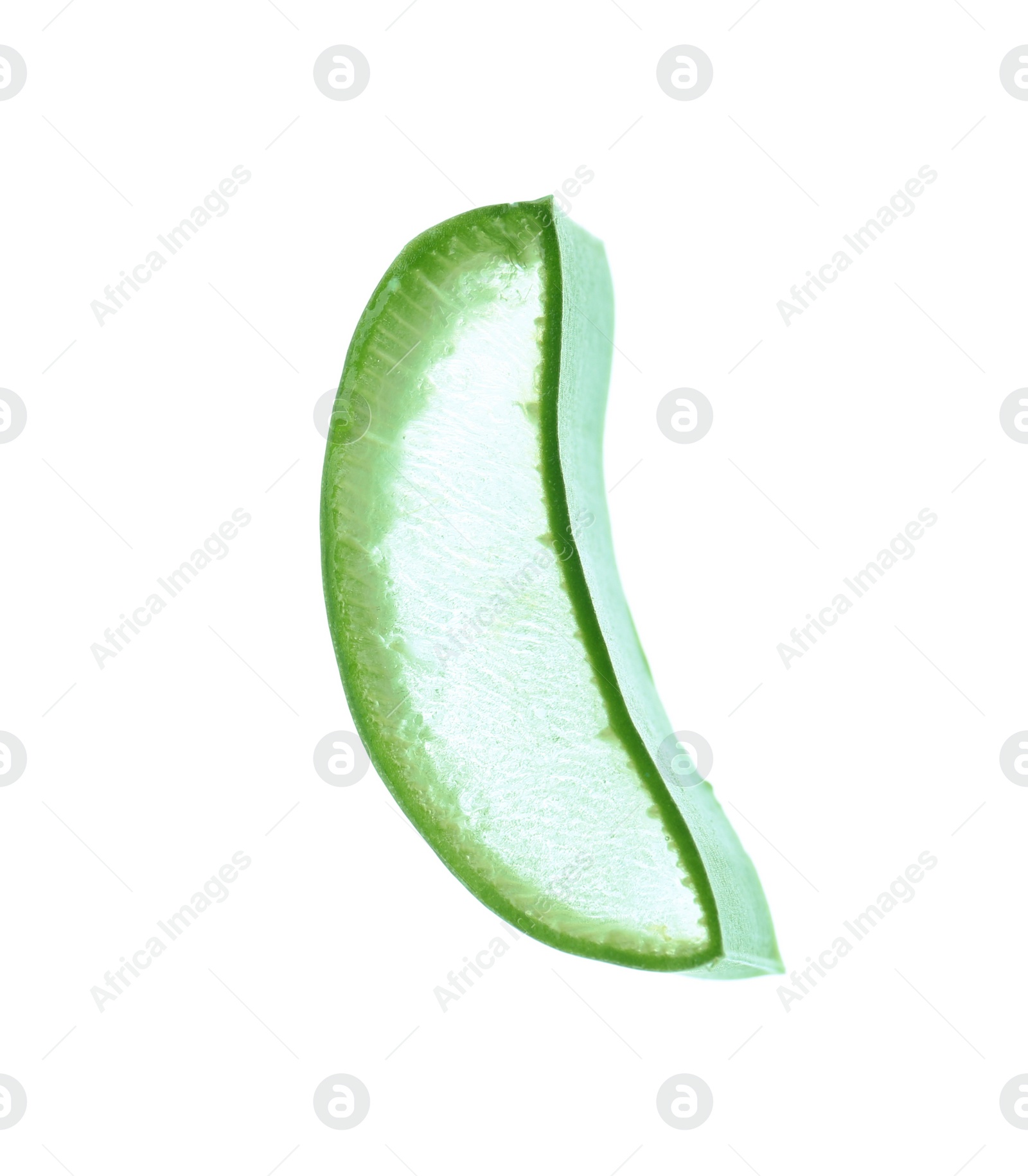 Photo of Aloe vera slice on white background