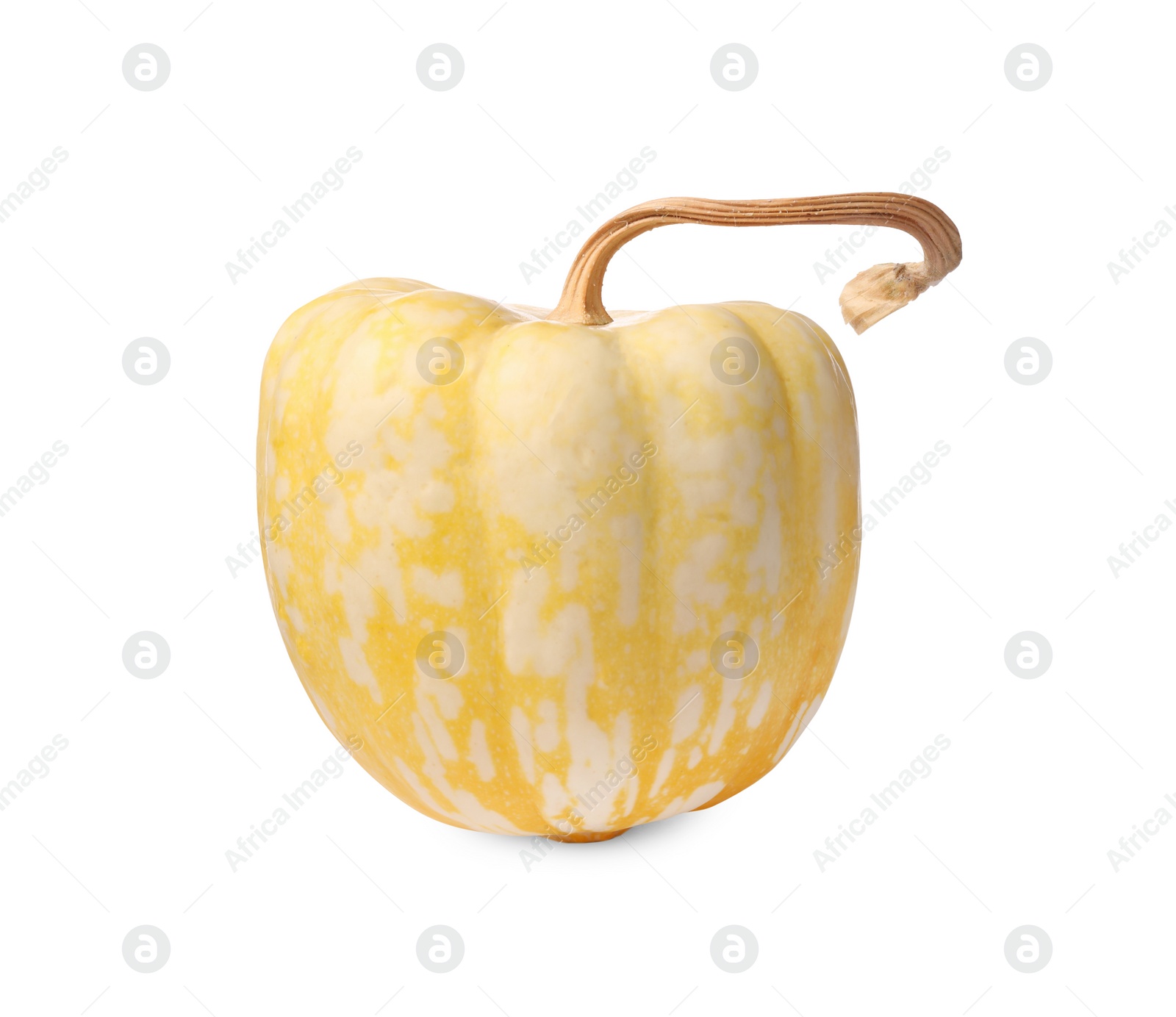 Photo of One fresh ripe pumpkin isolated on white