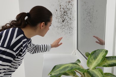 Image of Woman looking at affected with mold window slope in room