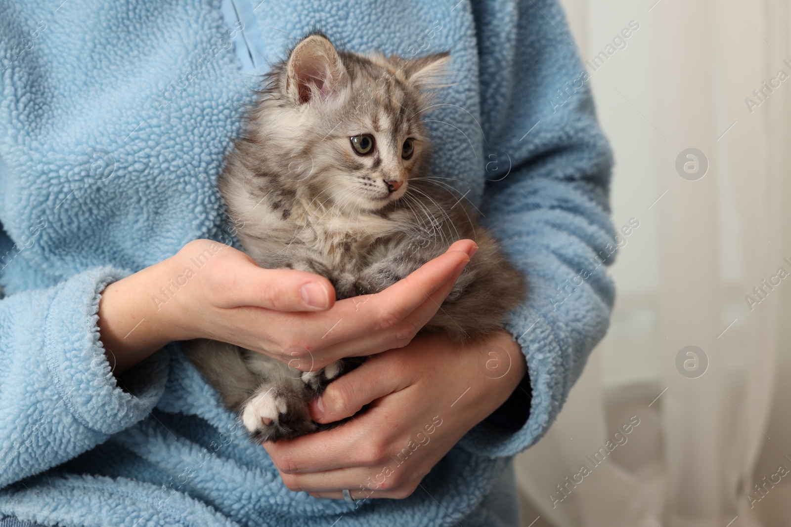 Photo of Woman holding cute fluffy kitten at home, closeup