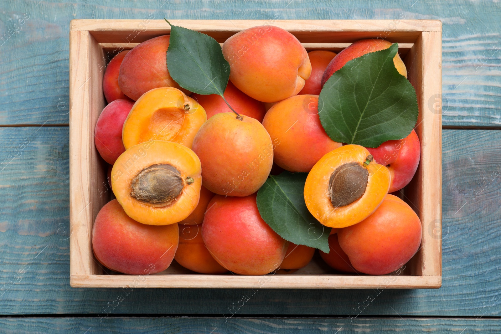 Photo of Delicious fresh ripe apricots on blue wooden table, top view