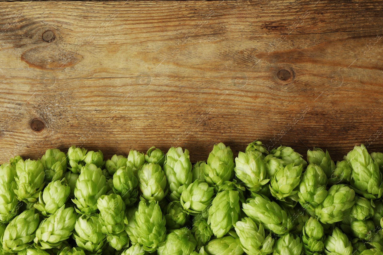 Photo of Fresh green hops on wooden table, top view. Space for text