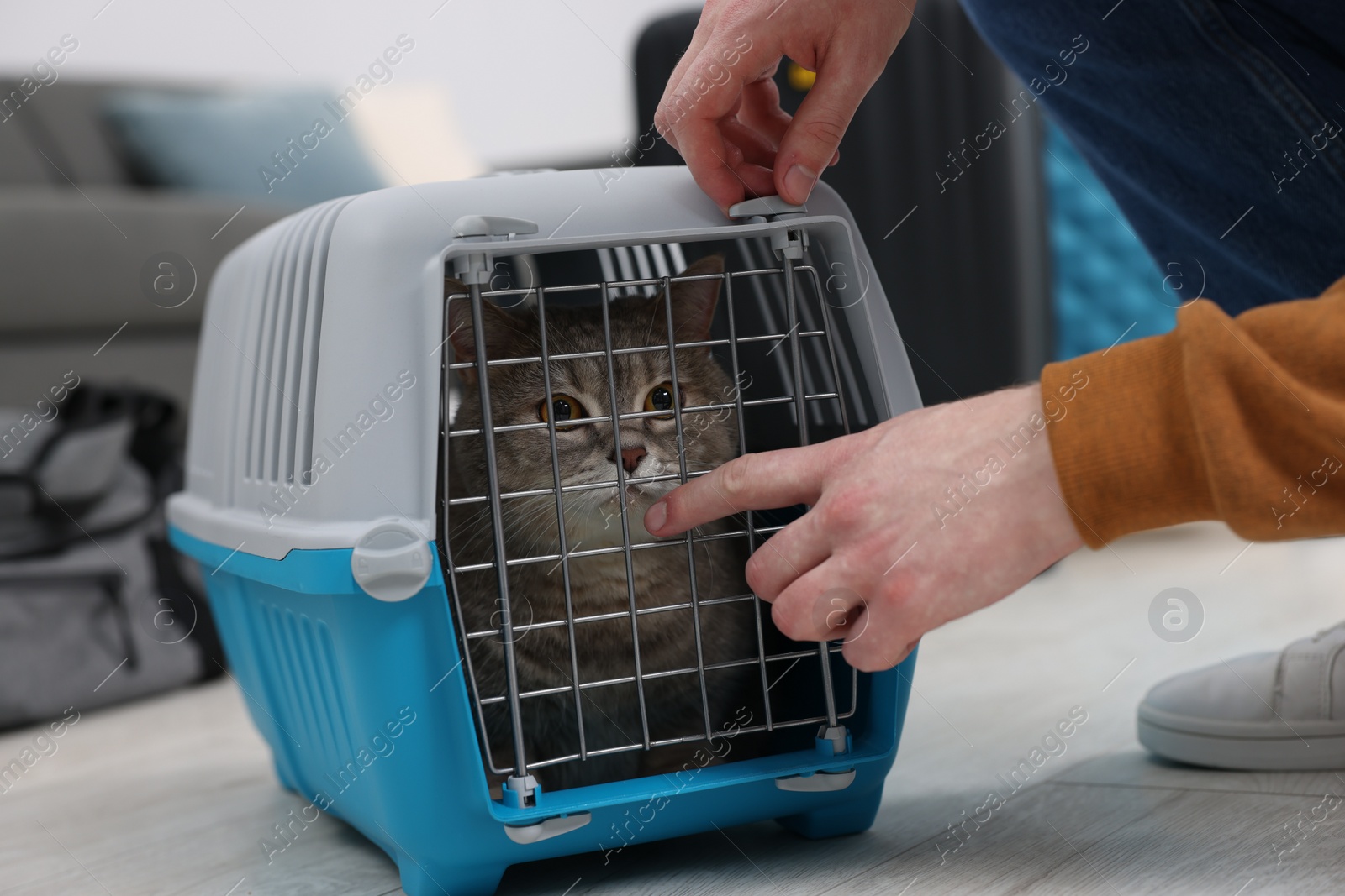 Photo of Travel with pet. Man closing carrier with cat at home, closeup