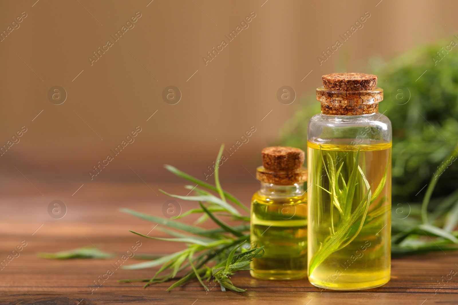 Photo of Bottles of essential oil and fresh tarragon leaves on wooden table. Space for text