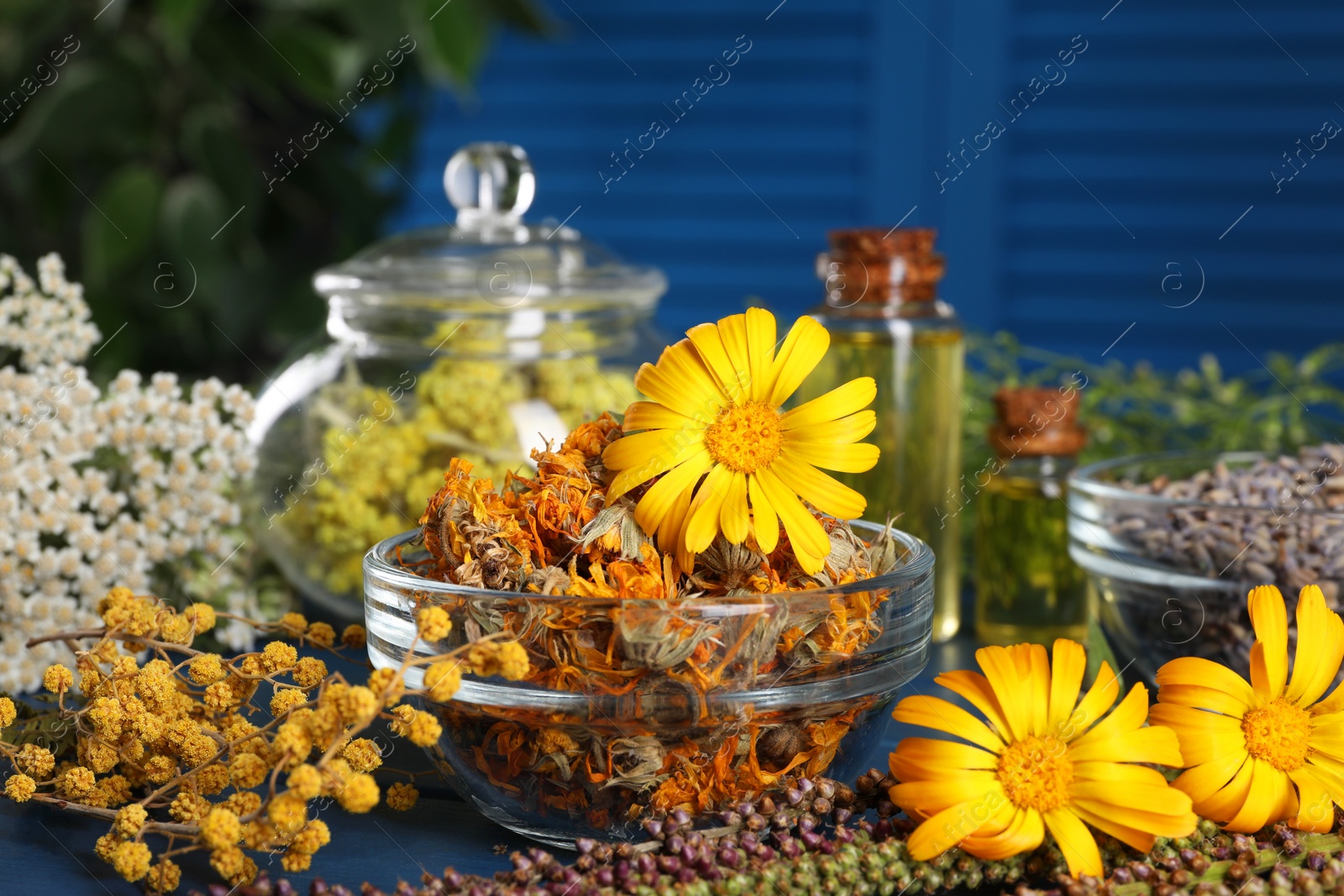 Photo of Bowl and many different herbs on blue table